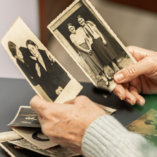 antepassados-e1690227555537