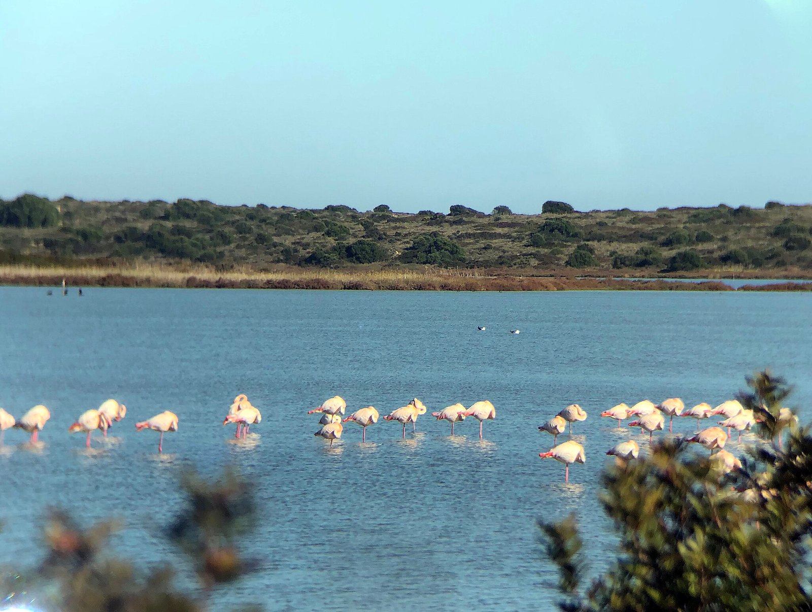 Pristine Calamosche Beach in Vendicari Nature Reserve